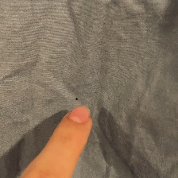 Alexander Julian Colours Blue Polka Dot Button Up - Picture 3 of 11